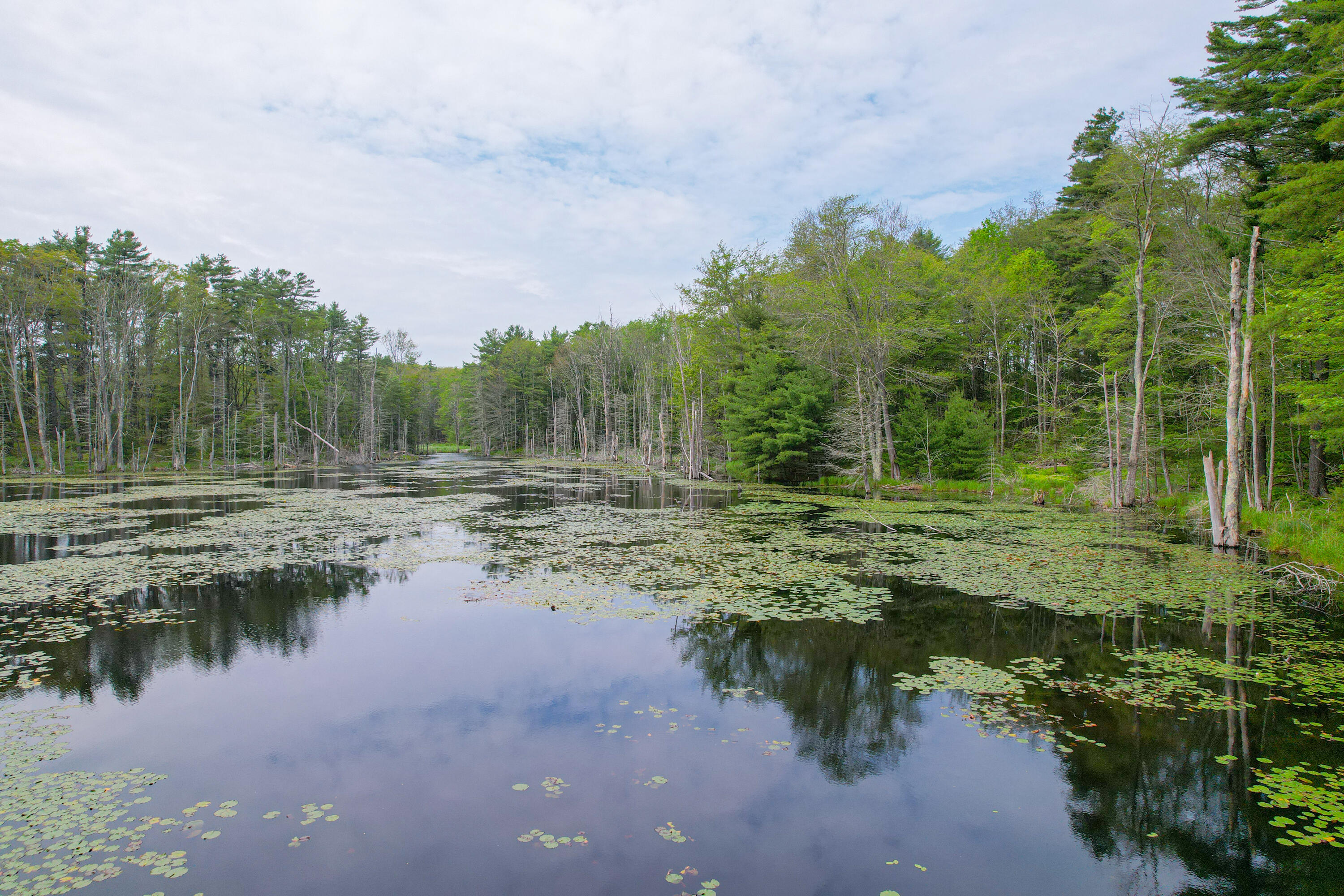 511 Main Road Phippsburg, ME 04562 - Photo 87 of 118 511MainRd.Phippsburg-065