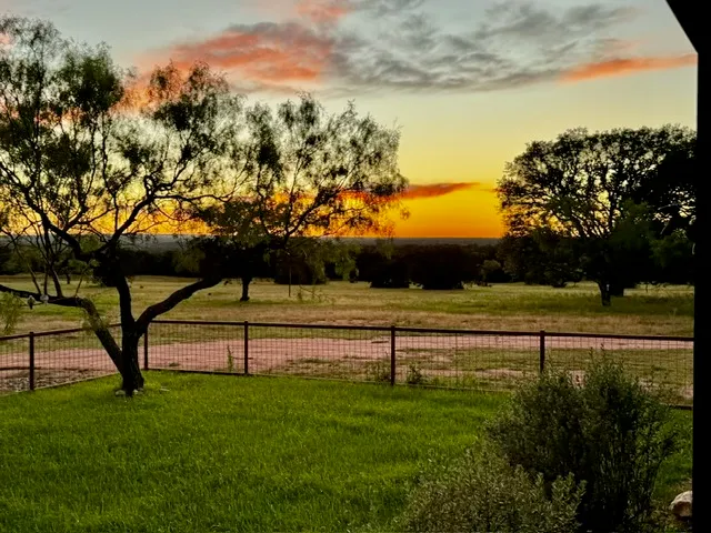 a view of outdoor space and yard
