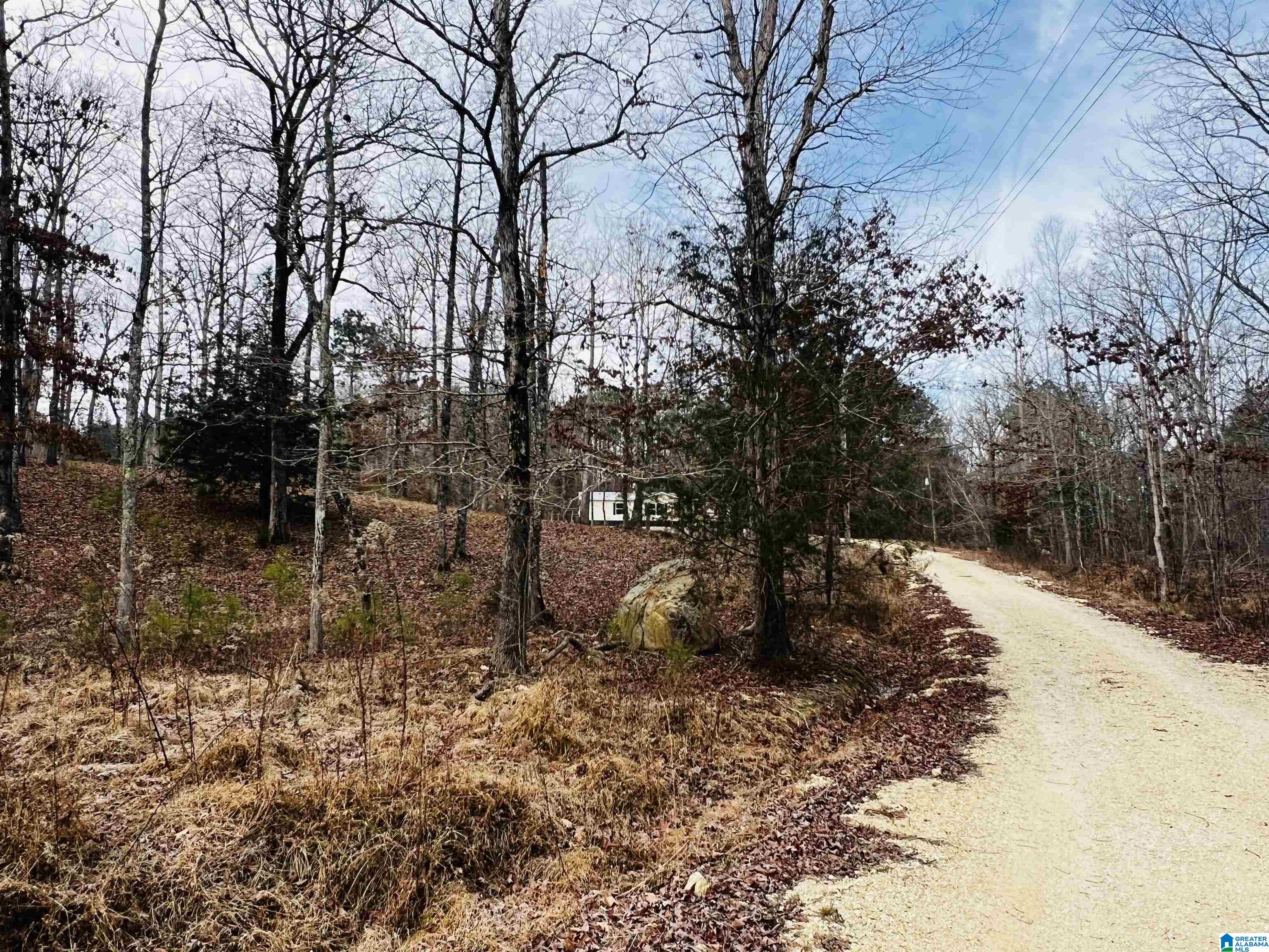 2415 Francis Mill Road Ohatchee, AL 36271 - Photo 41 of 44