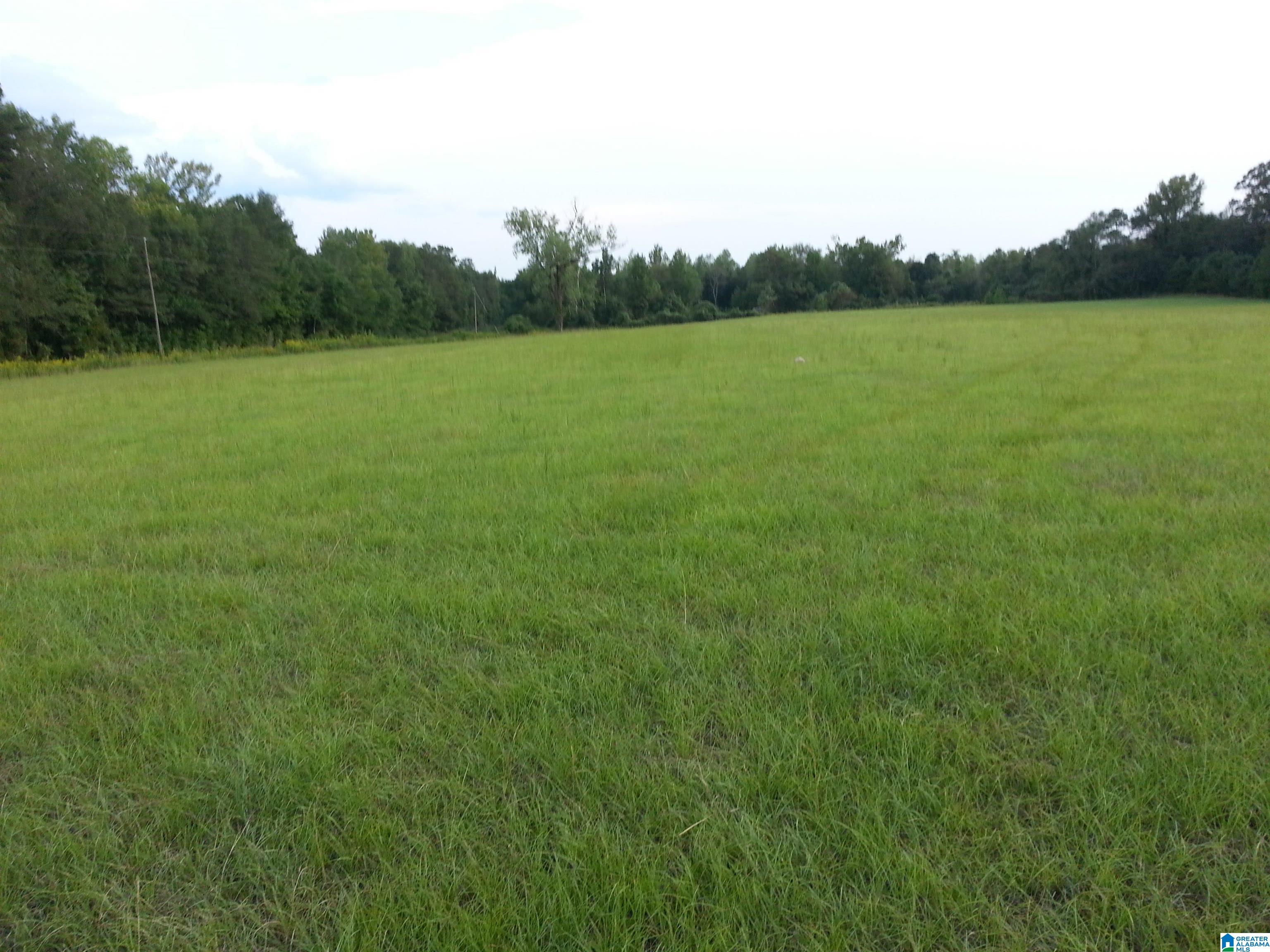0 County Road 89 Fayette, AL 35555 - Photo 4 of 8