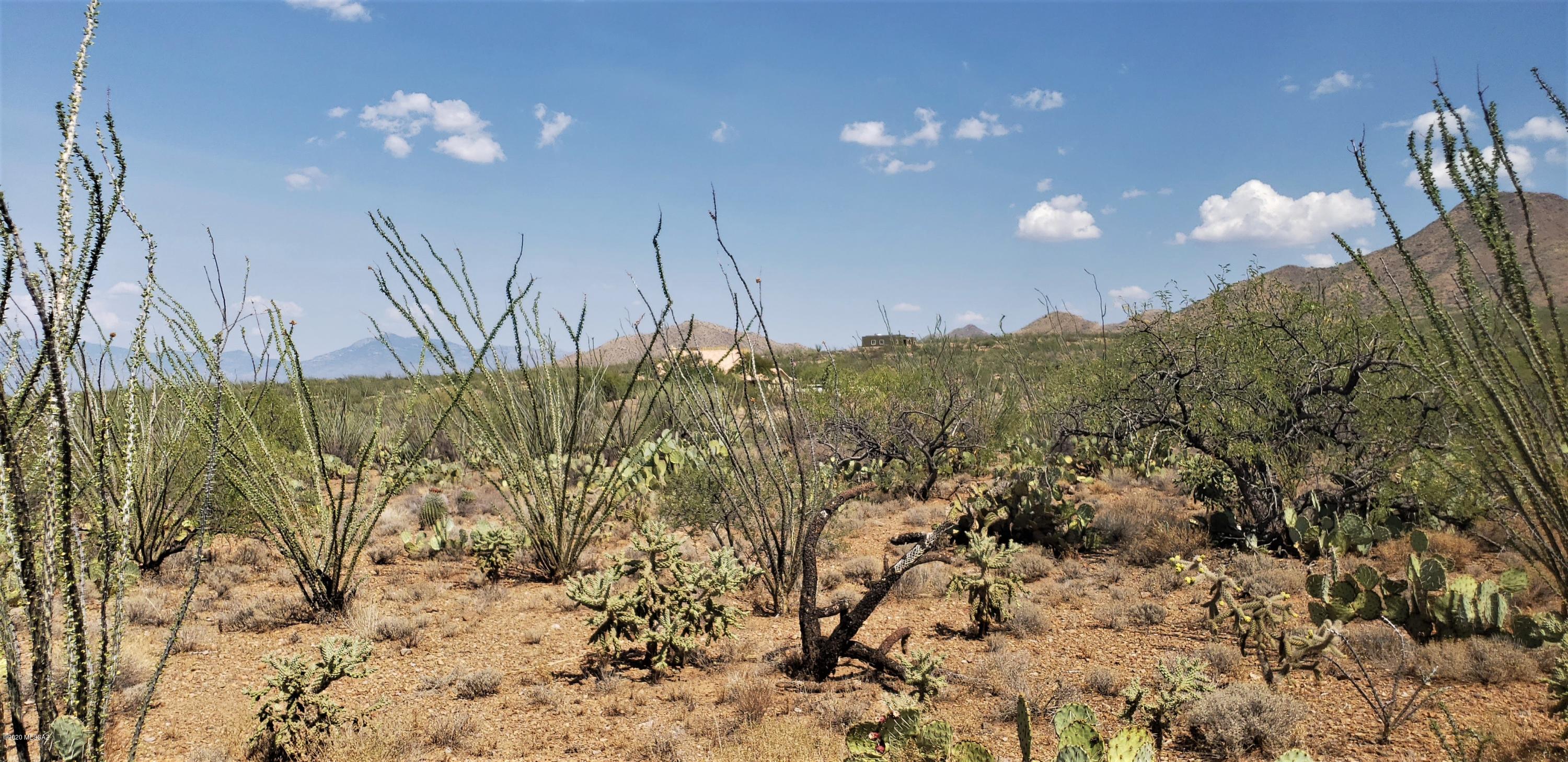 9700 East Ocotillo Rim Trail, Unit 10 Vail, AZ 85641 - Photo 13 of 18 Gallery Image 13