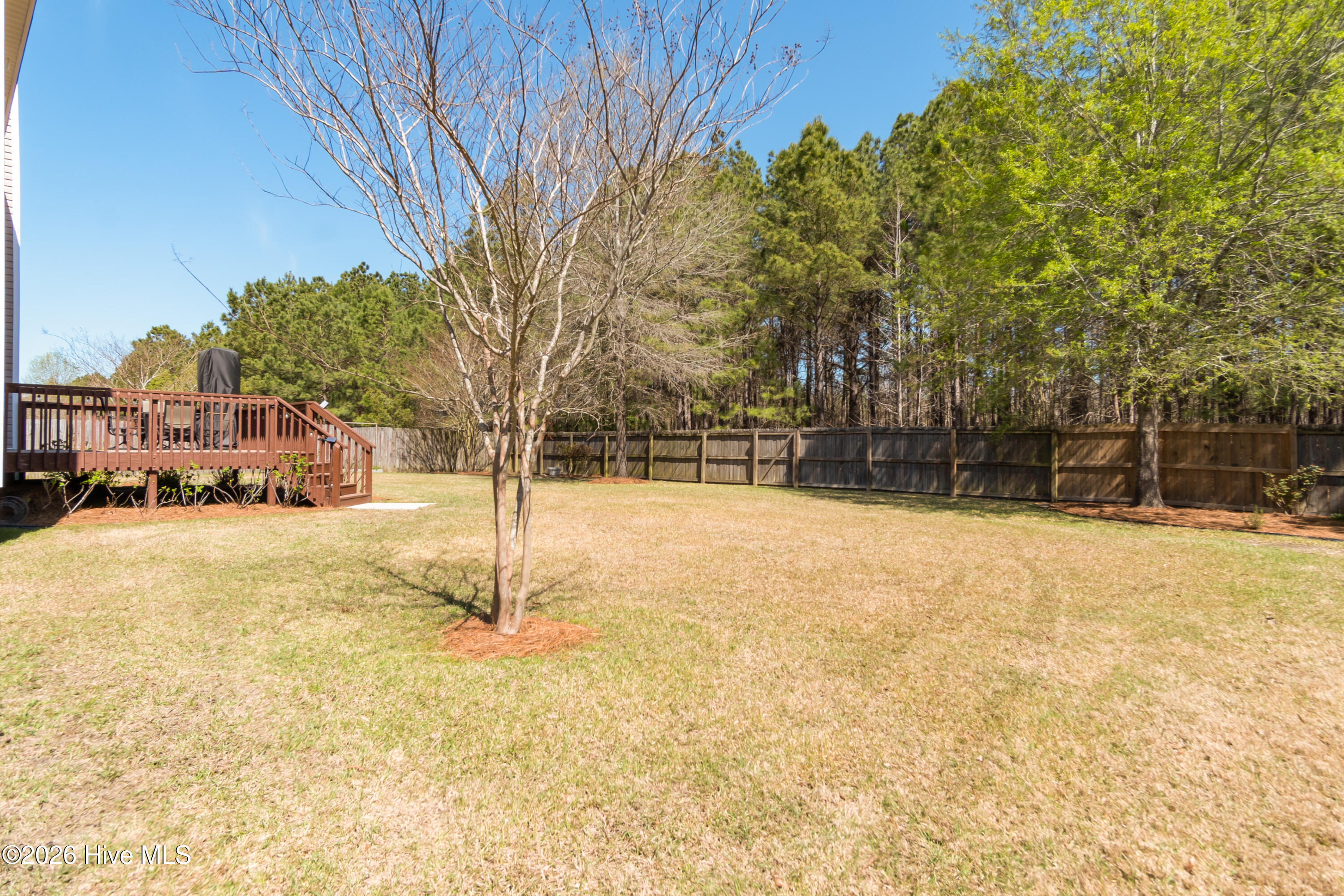 206 Westmont Road Jacksonville, NC 28540 - Photo 44 of 59 206 Westmont-43