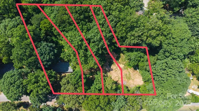 a view of a plants in a garden