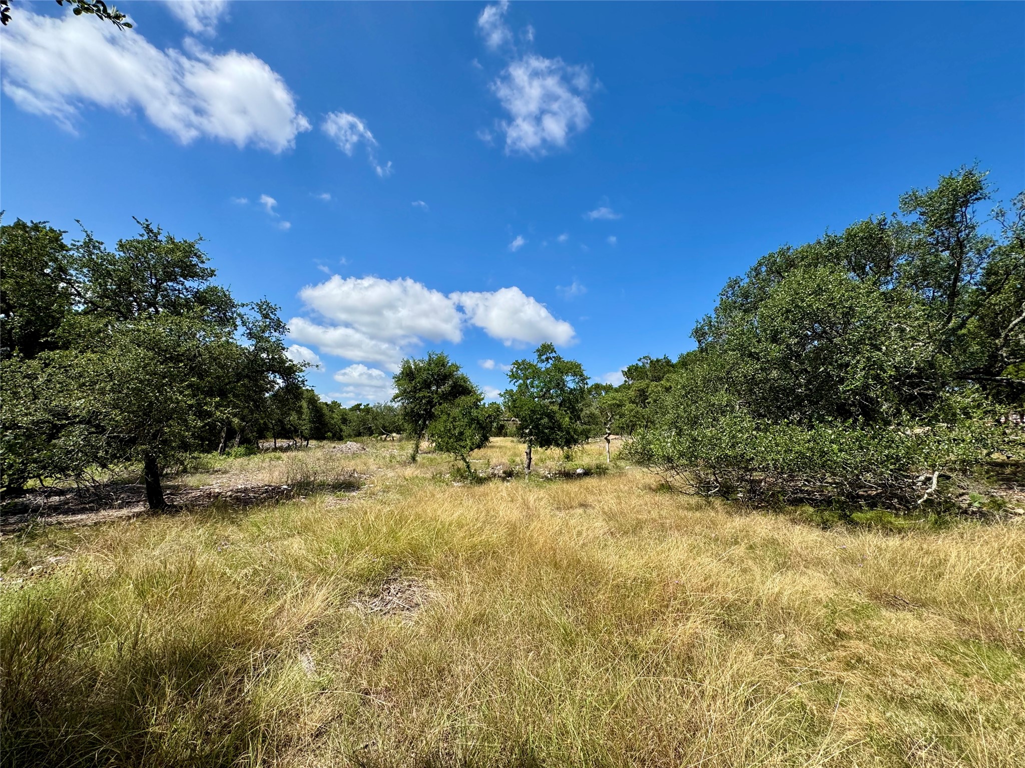 242 Landons Way Georgetown, TX 78633 - Photo 22 of 30 Mature trees and open grasslands define this picturesque building site.