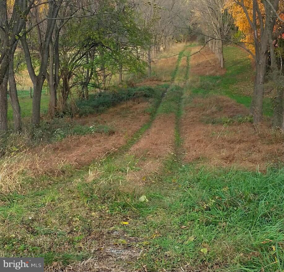 4141 McNabb Road Whiteford, MD 21160 - Photo 1 of 4 driveway off Mac Nabb Road
