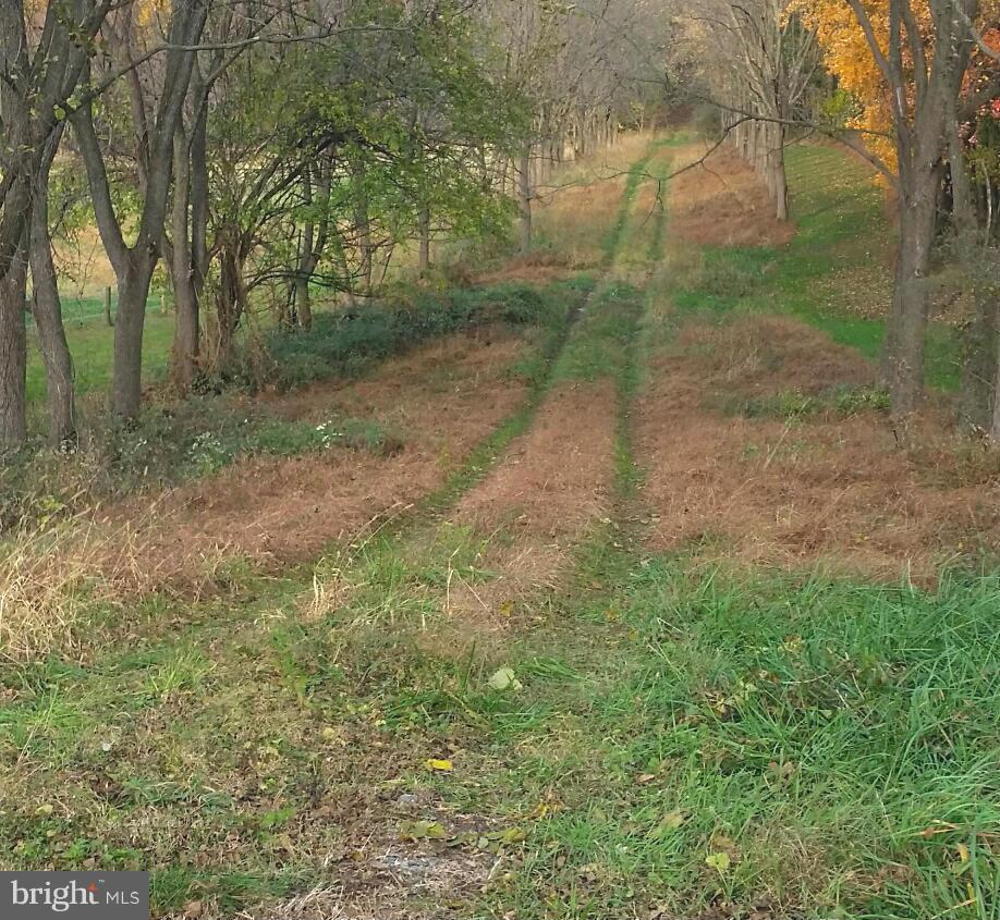 4141 McNabb Road Whiteford, MD 21160 - Photo 2 of 4 Driveway from MacNabb Road