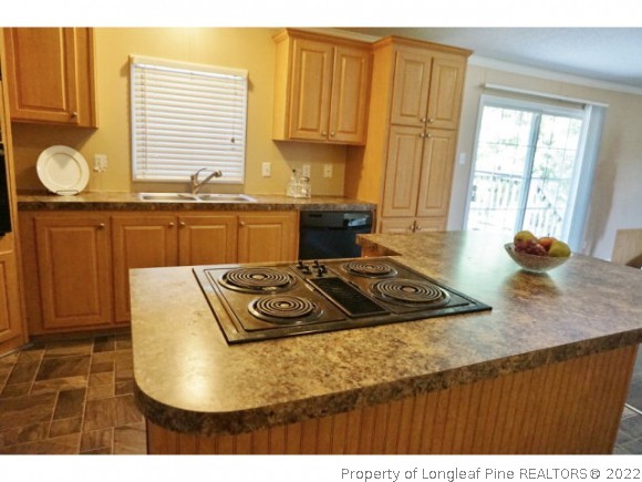 2972 Underwood Road Carthage, NC 28327 - Photo 9 of 24 a kitchen with sink and window