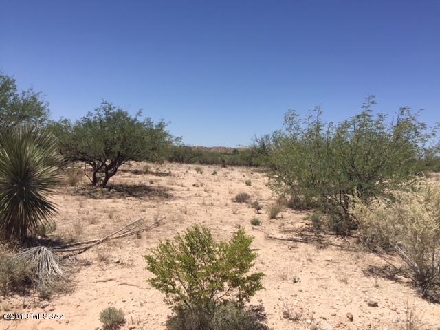 South Greenleaf Road Benson, AZ 85602 - Photo 8 of 12
