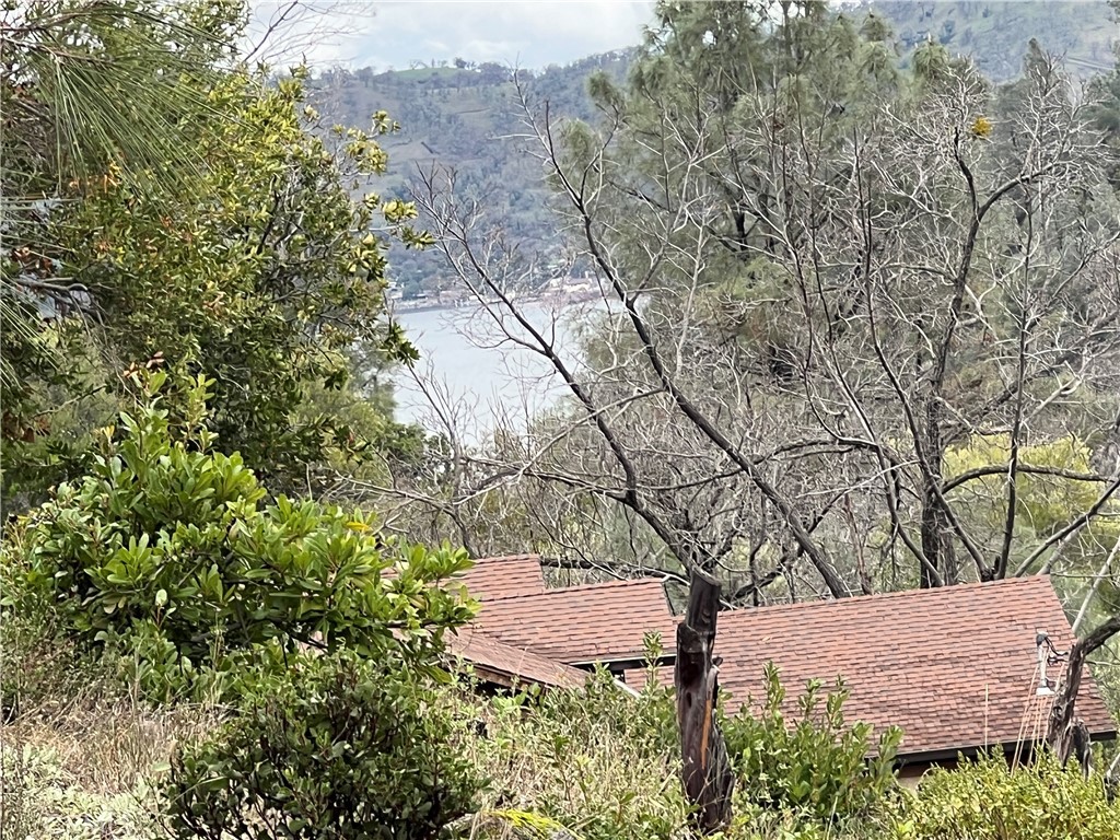 4707 Kaweah Road Kelseyville, CA 95451 - Photo 2 of 7 a backyard of a house with lots of green space