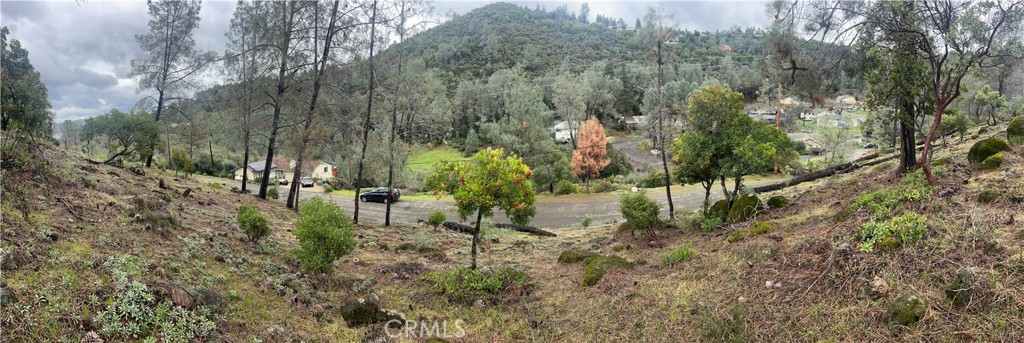 4707 Kaweah Road Kelseyville, CA 95451 - Photo 3 of 7 a view of a yard with large trees