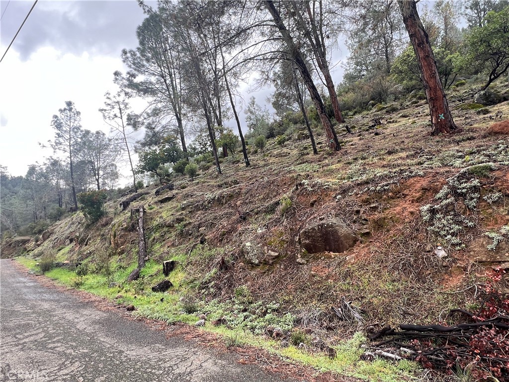 4707 Kaweah Road Kelseyville, CA 95451 - Photo 5 of 7 a big yard with lots of green space