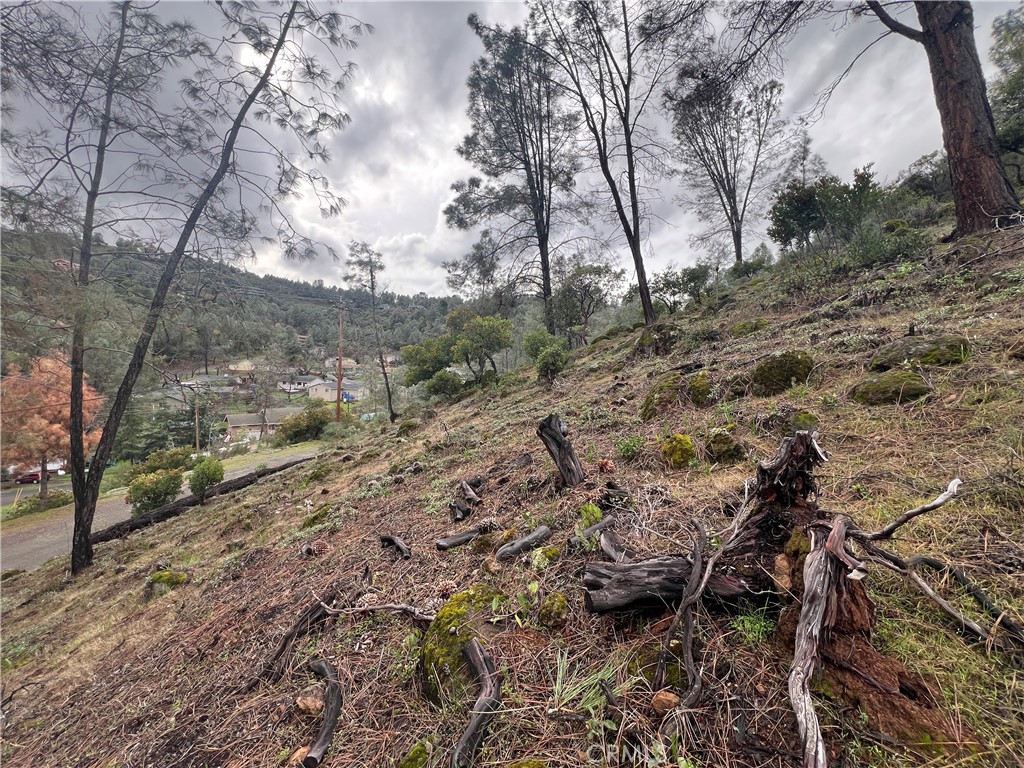 4707 Kaweah Road Kelseyville, CA 95451 - Photo 6 of 7 a view of outdoor space and tree