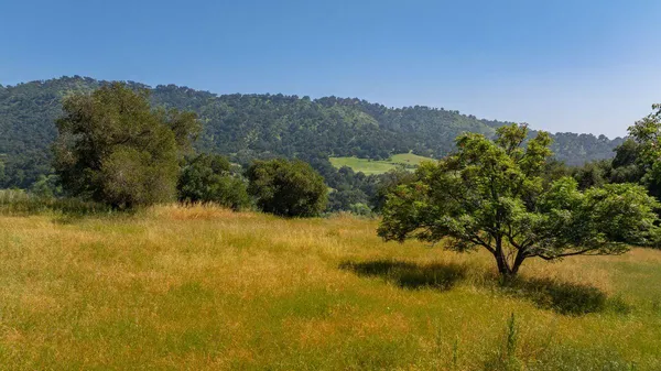 $750,000 | 0 Thomas Street, Oak View, CA 93022