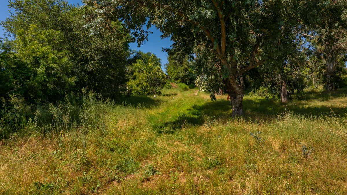 0 Thomas Street Oak View, CA 93022 - Photo 13 of 14