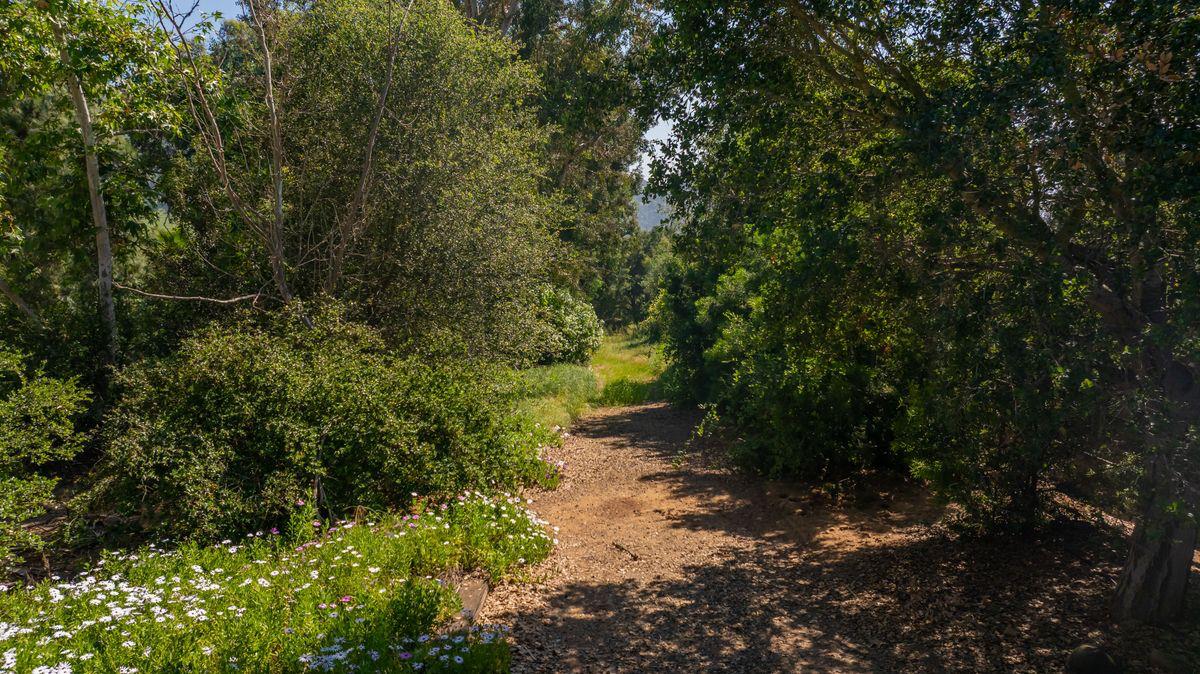 0 Thomas Street Oak View, CA 93022 - Photo 14 of 14