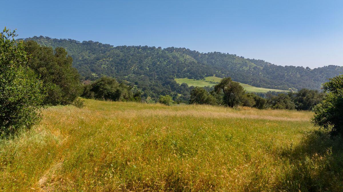 0 Thomas Street Oak View, CA 93022 - Photo 2 of 14