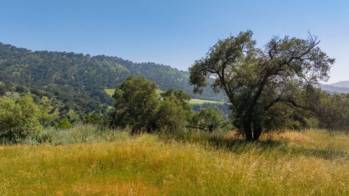 0 Thomas Street Oak View, CA 93022 - Photo 4 of 14