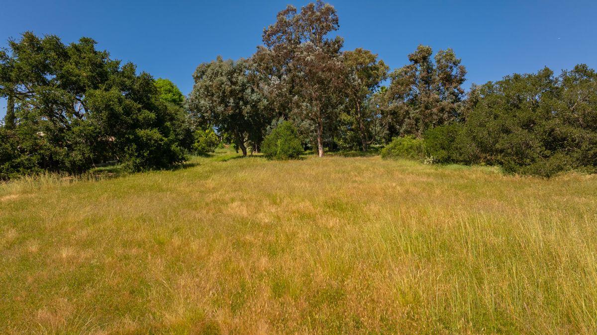 0 Thomas Street Oak View, CA 93022 - Photo 7 of 14