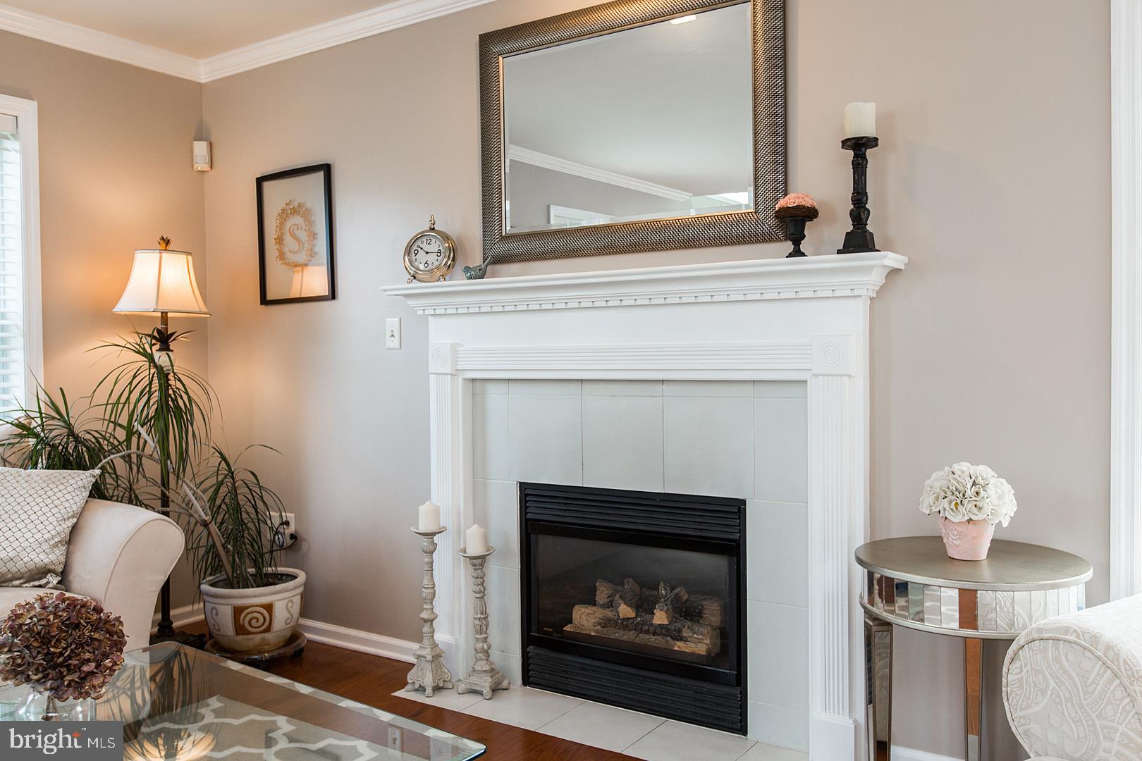 242 Browning Road Lancaster, PA 17602 - Photo 9 of 63 Gas fireplace