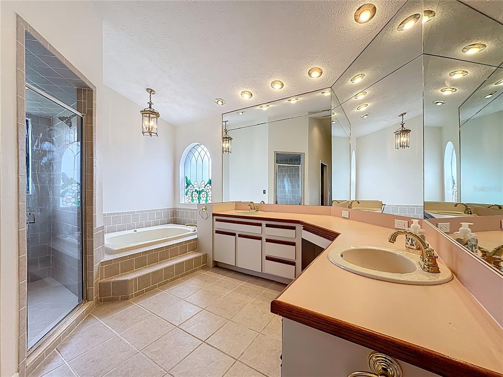 2414 Buckhorn Run Drive Valrico, FL 33596 - Photo 13 of 50 a bathroom with a tub sink and mirror