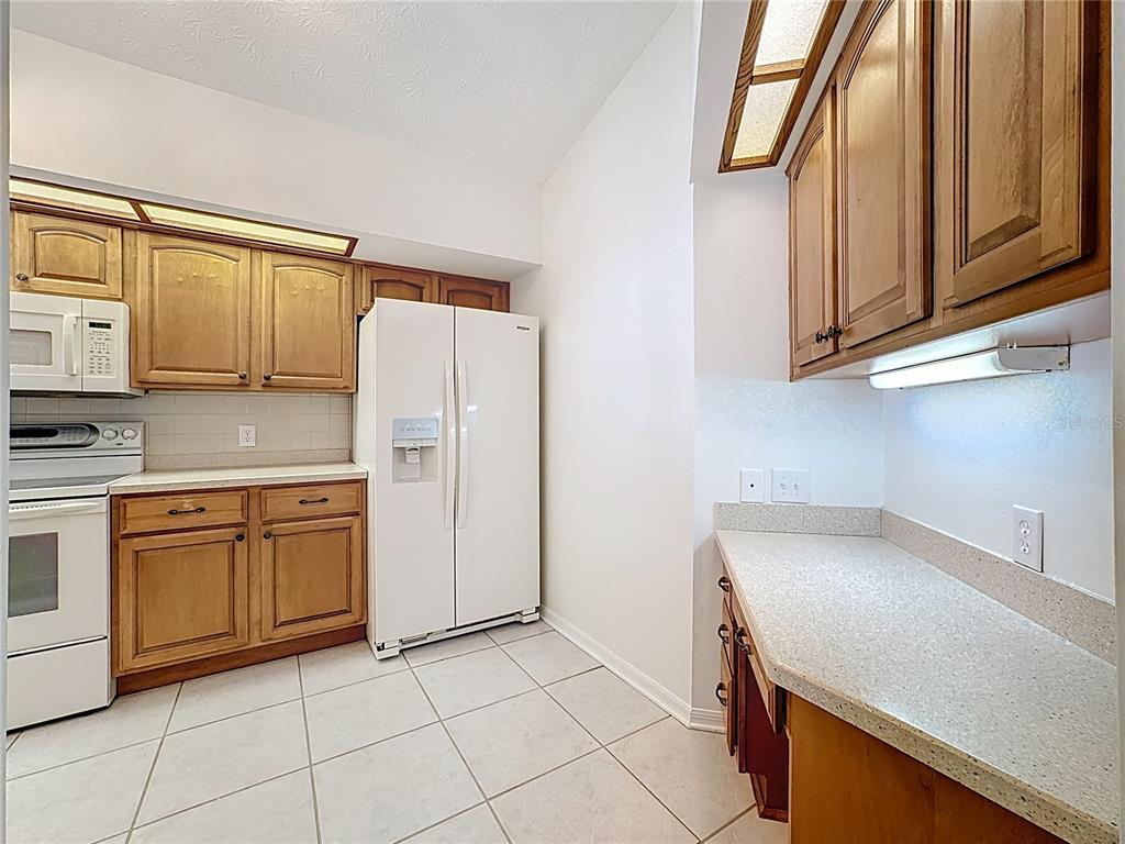 2414 Buckhorn Run Drive Valrico, FL 33596 - Photo 19 of 50 a kitchen with a sink cabinets and appliances