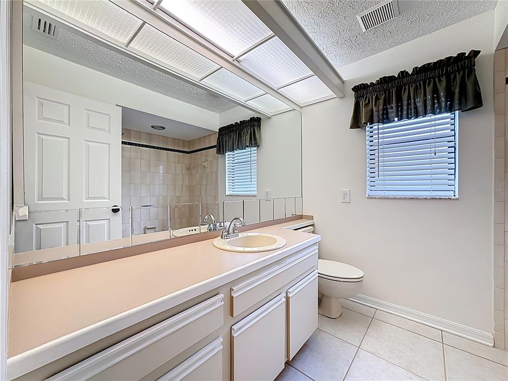 2414 Buckhorn Run Drive Valrico, FL 33596 - Photo 27 of 50 a bathroom with a sink a toilet a mirror and vanity