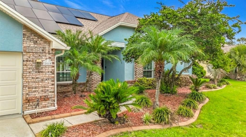 2414 Buckhorn Run Drive Valrico, FL 33596 - Photo 3 of 50 a plant that is in front of a house