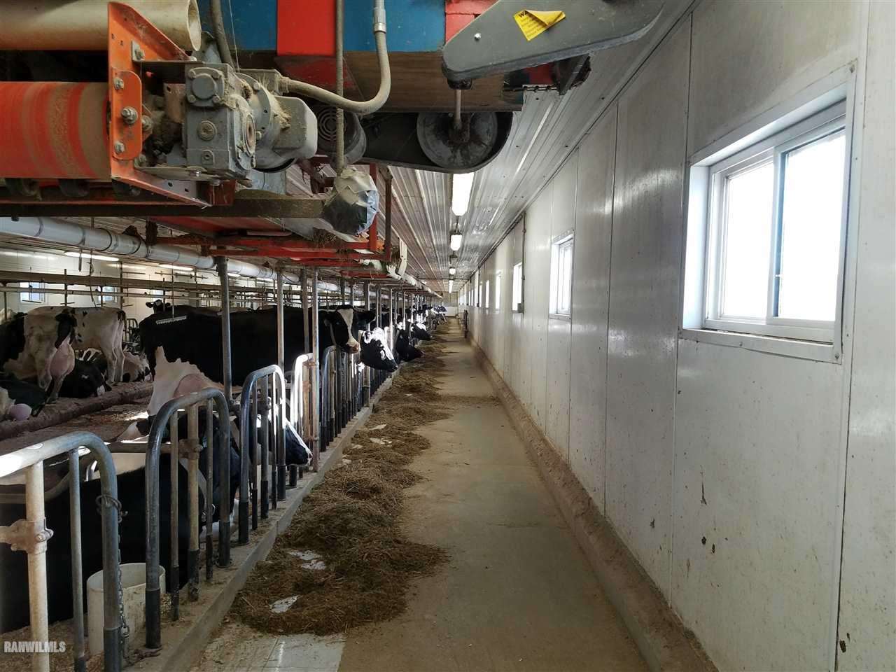 Gallery Image 7