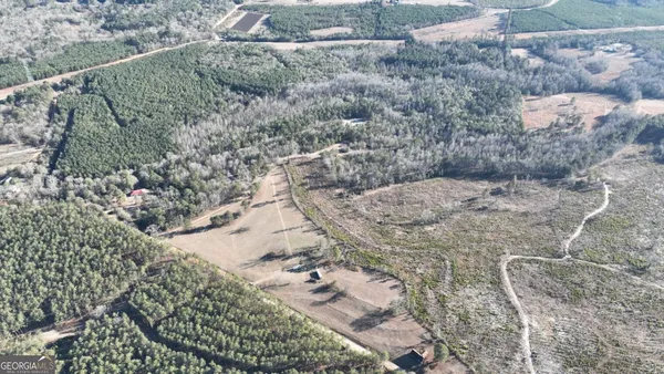 a view of big yard with large trees