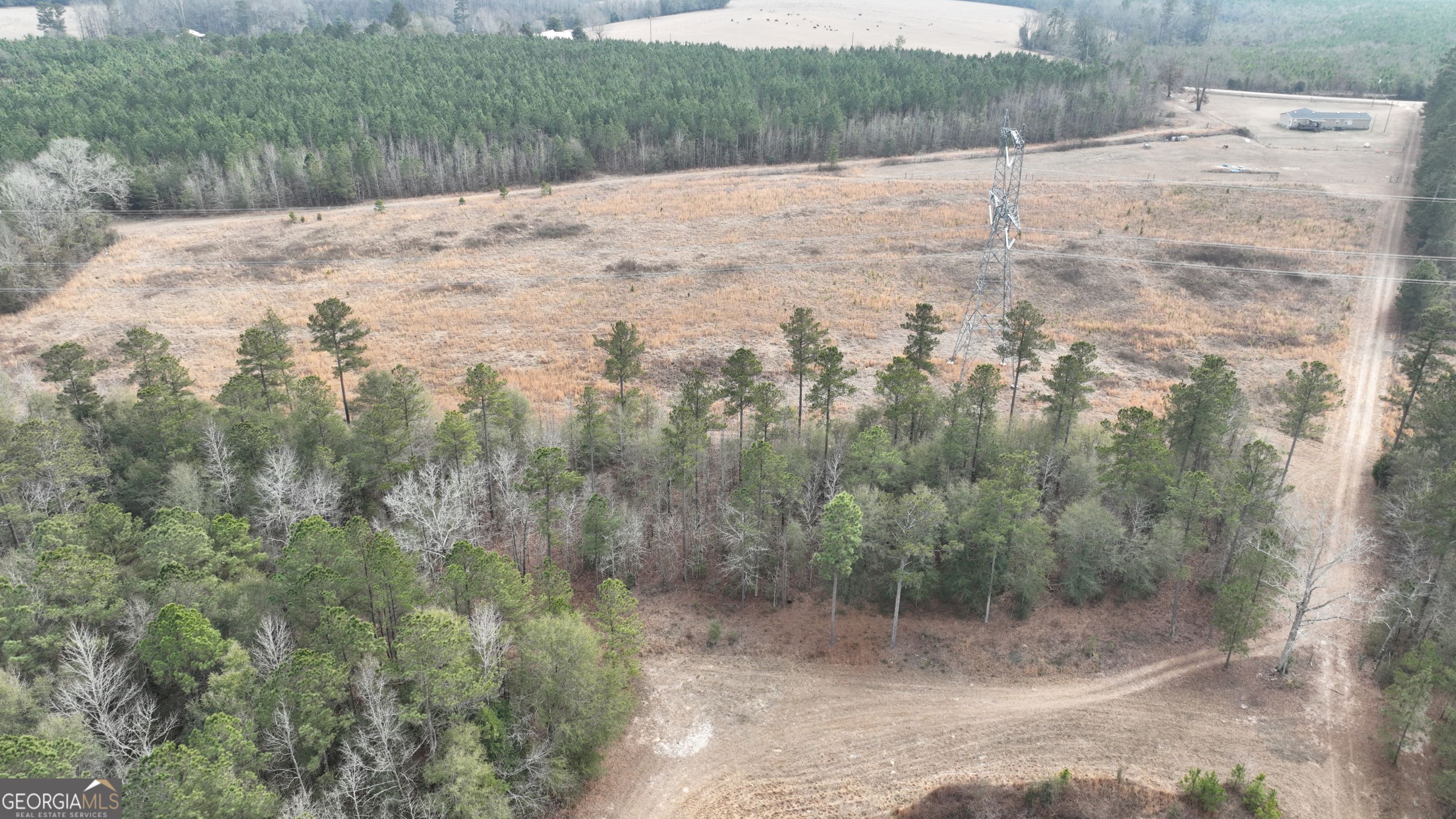 5257 Blume Road Mitchell, GA 30820 - Photo 14 of 14 a view of a dry yard