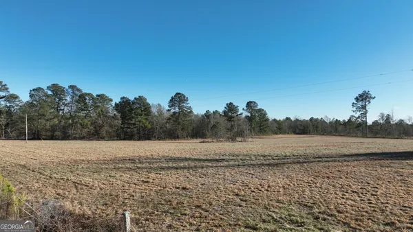 a view of a forest with trees