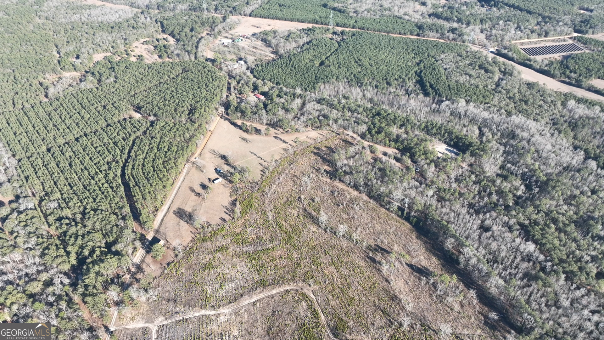 5257 Blume Road Mitchell, GA 30820 - Photo 3 of 14 a view of a forest with trees