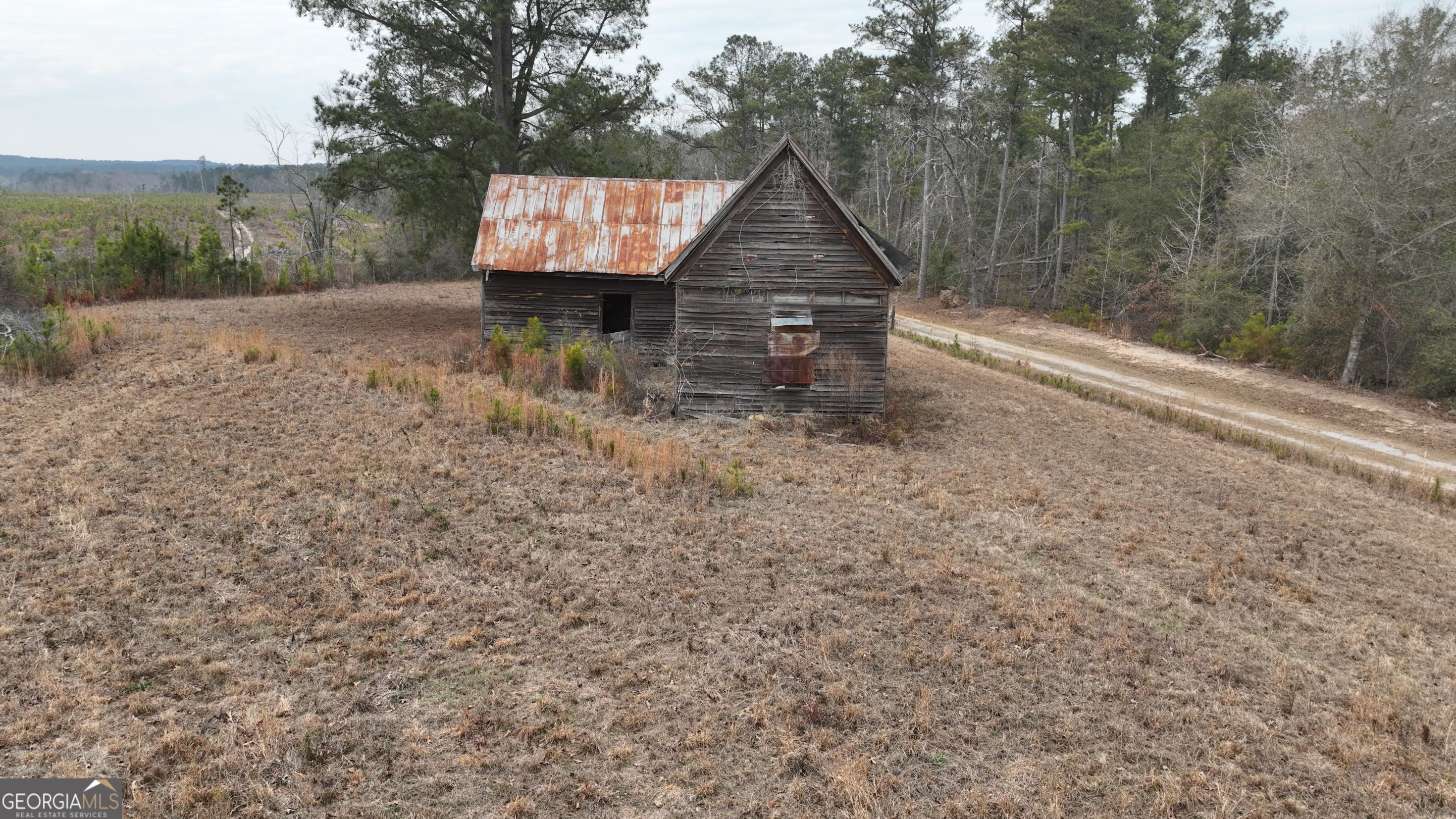 5257 Blume Road Mitchell, GA 30820 - Photo 6 of 14 a backyard of a house with lots of green space