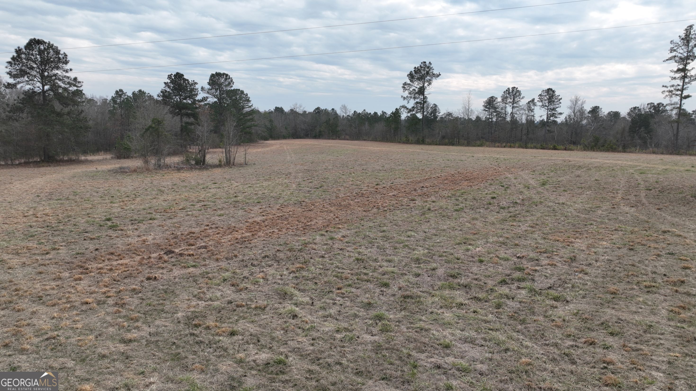 5257 Blume Road Mitchell, GA 30820 - Photo 8 of 14 a view of a field
