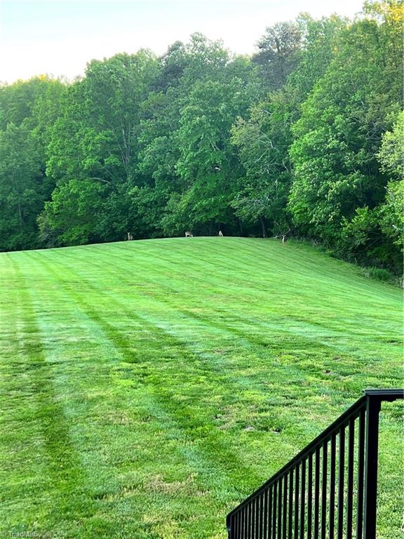 687 Red Brush Road Mount Airy, NC 27030 - Photo 30 of 30 Gallery Image 30