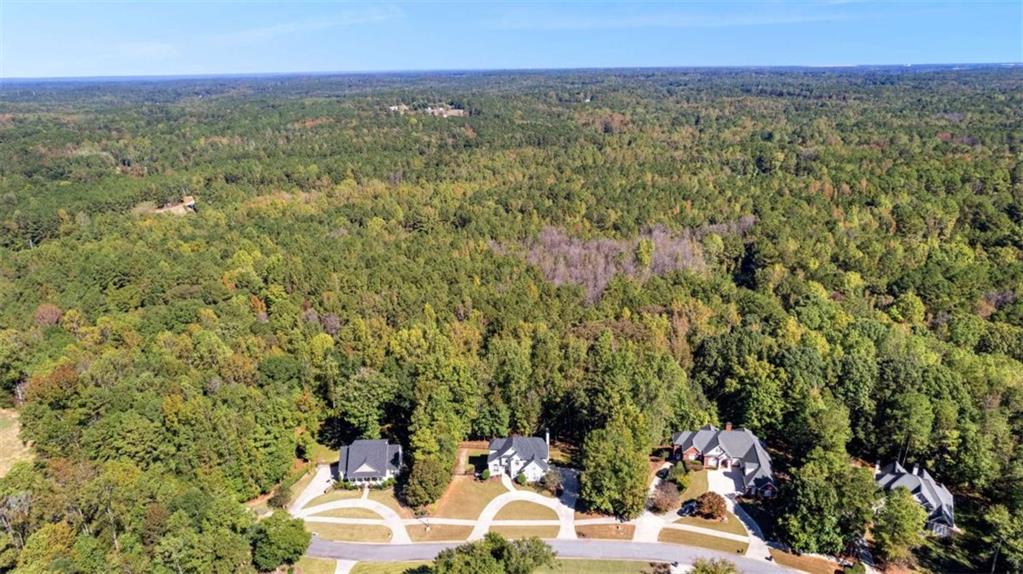 75 Primrose Pass Newnan, GA 30265 - Photo 11 of 71