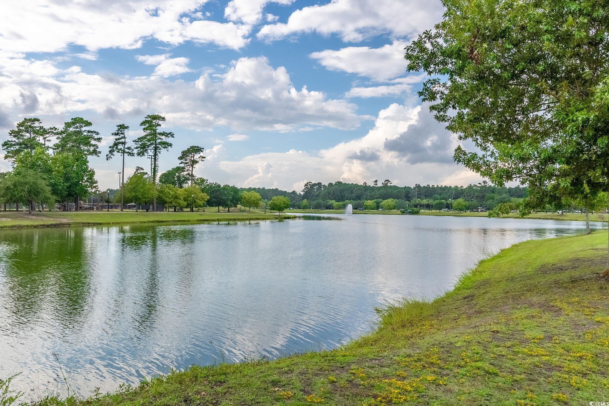 945 Rosencrans Lane, Unit E Myrtle Beach, SC 29577 - Photo 31 of 40 Gallery Image 31