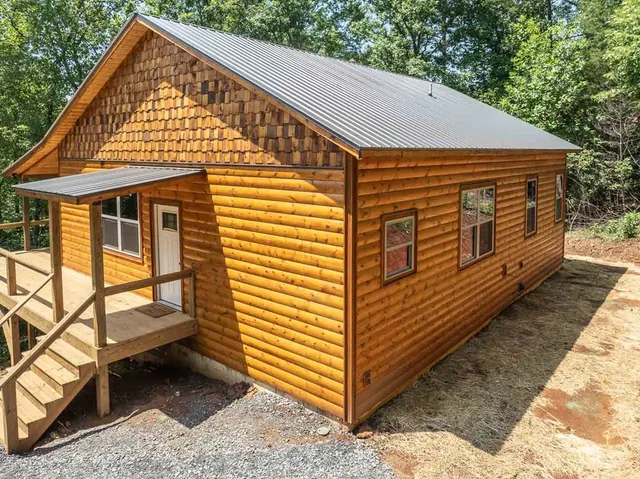 a view of a forest filled with trees