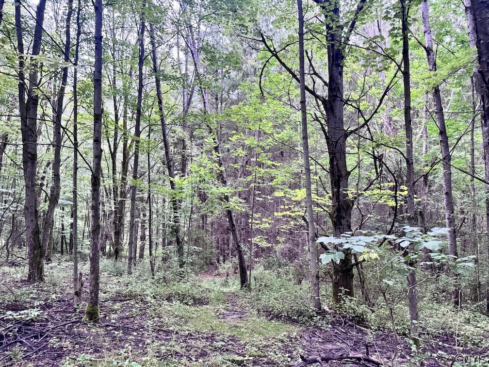 Common Road Angelica, NY 14709 - Photo 8 of 26 Gallery Image 8
