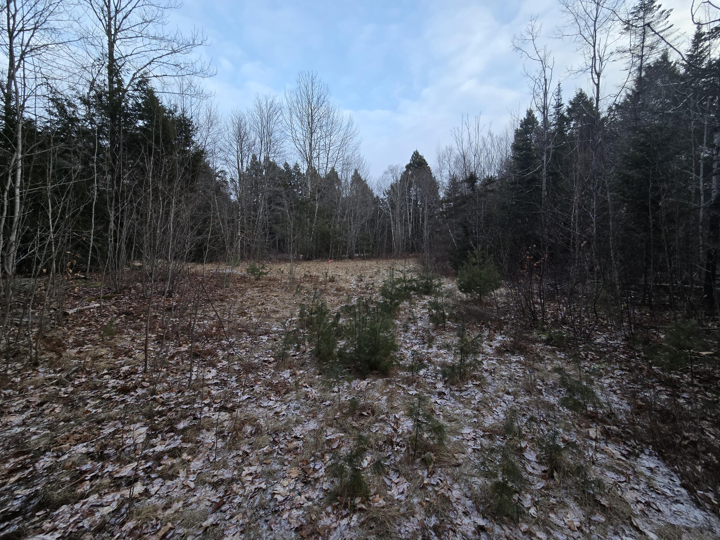 58 Beech Hill Pond Road Dedham, ME 04429 - Photo 26 of 33 20250107_152933