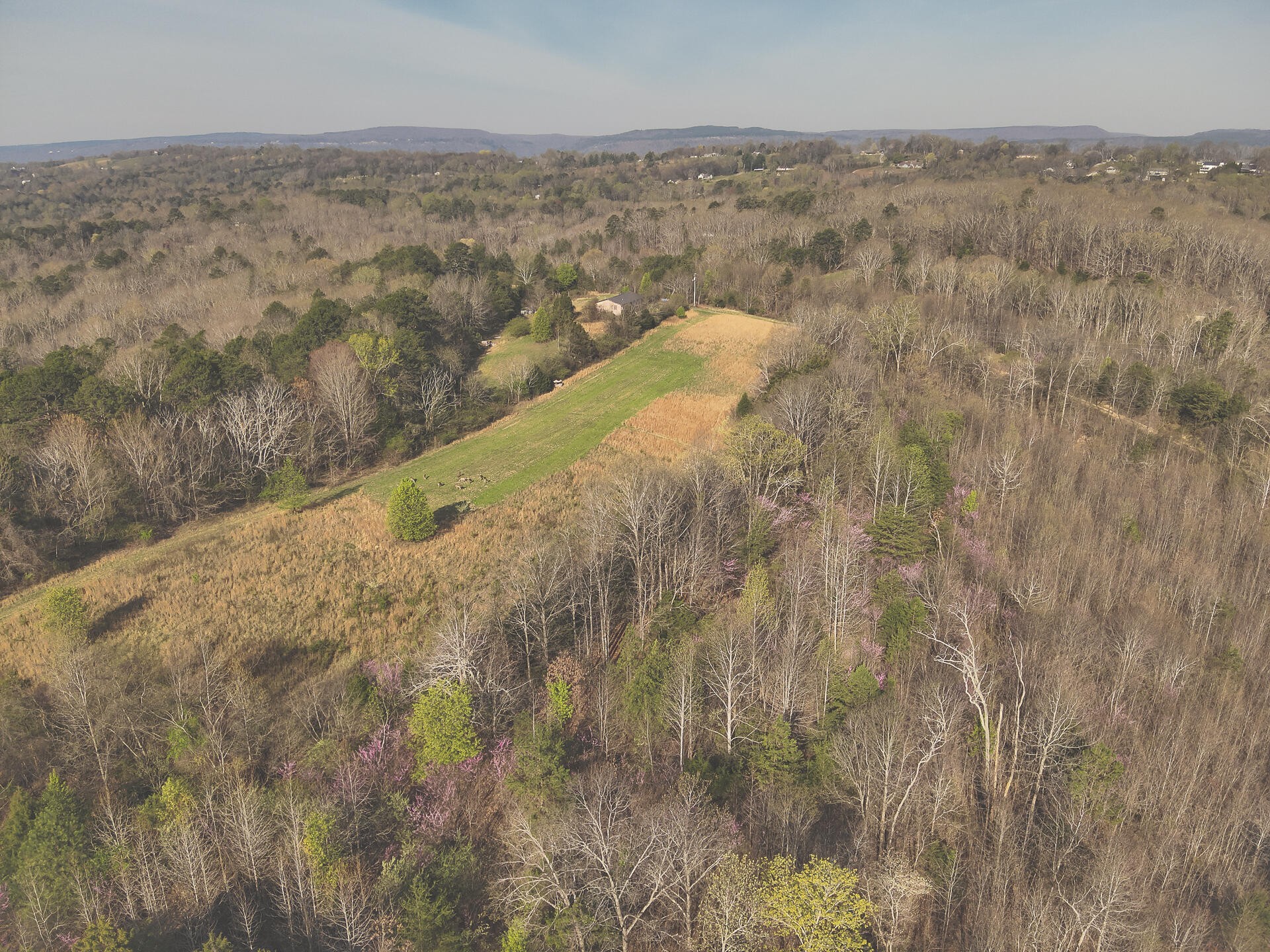 527 Dyer Hollow Road Dayton, TN 37321 - Photo 4 of 61 Gallery Image 4