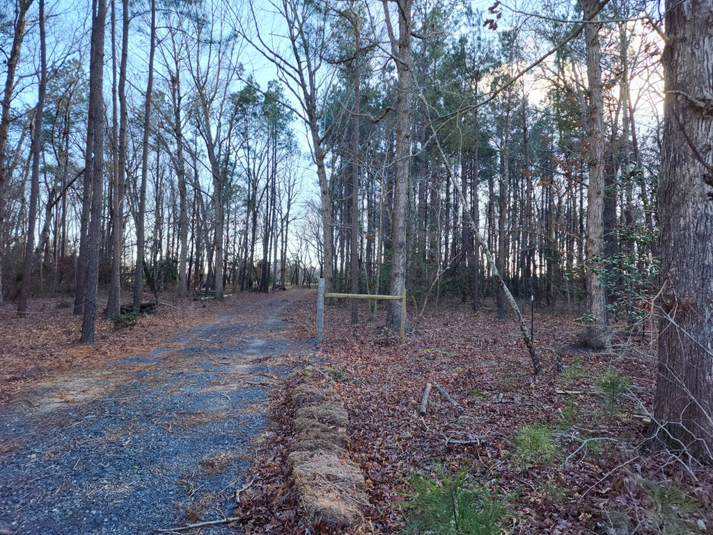 Lot 4 Church Neck Road, Unit 4D Machipongo, VA 23405 - Photo 2 of 6
