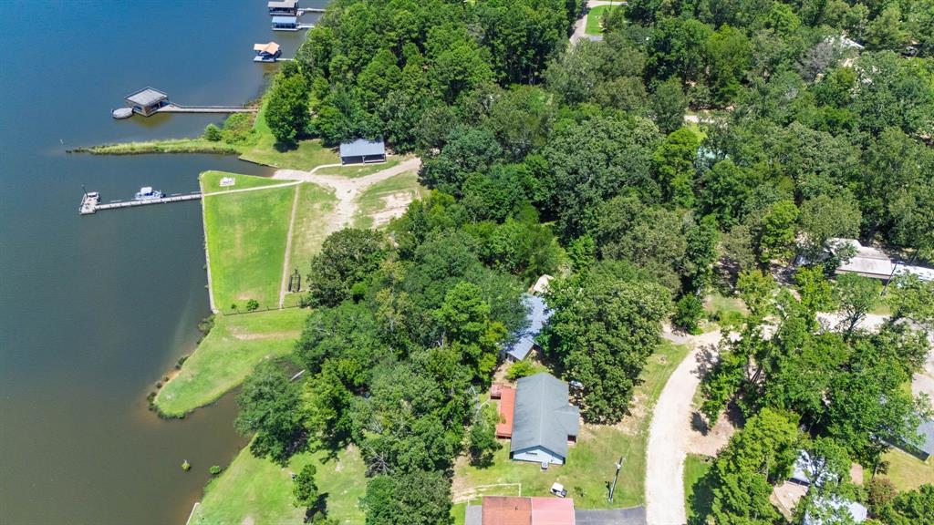 277 Private Road Pittsburg, TX 75686 - Photo 34 of 40 a view of a yard with plants