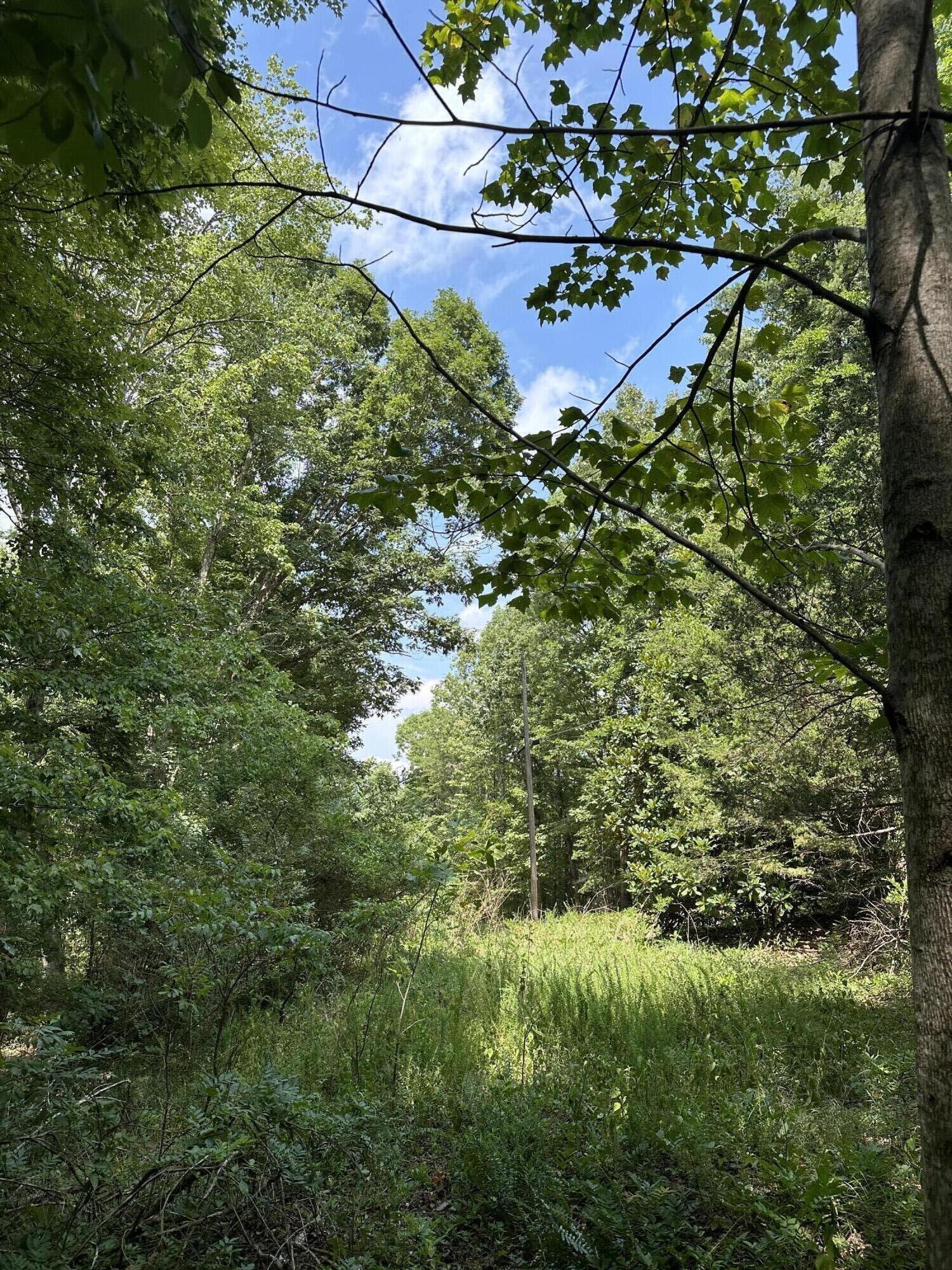 1 Flat Branch Road Tracy City, TN 37387 - Photo 1 of 7 IMG_8827