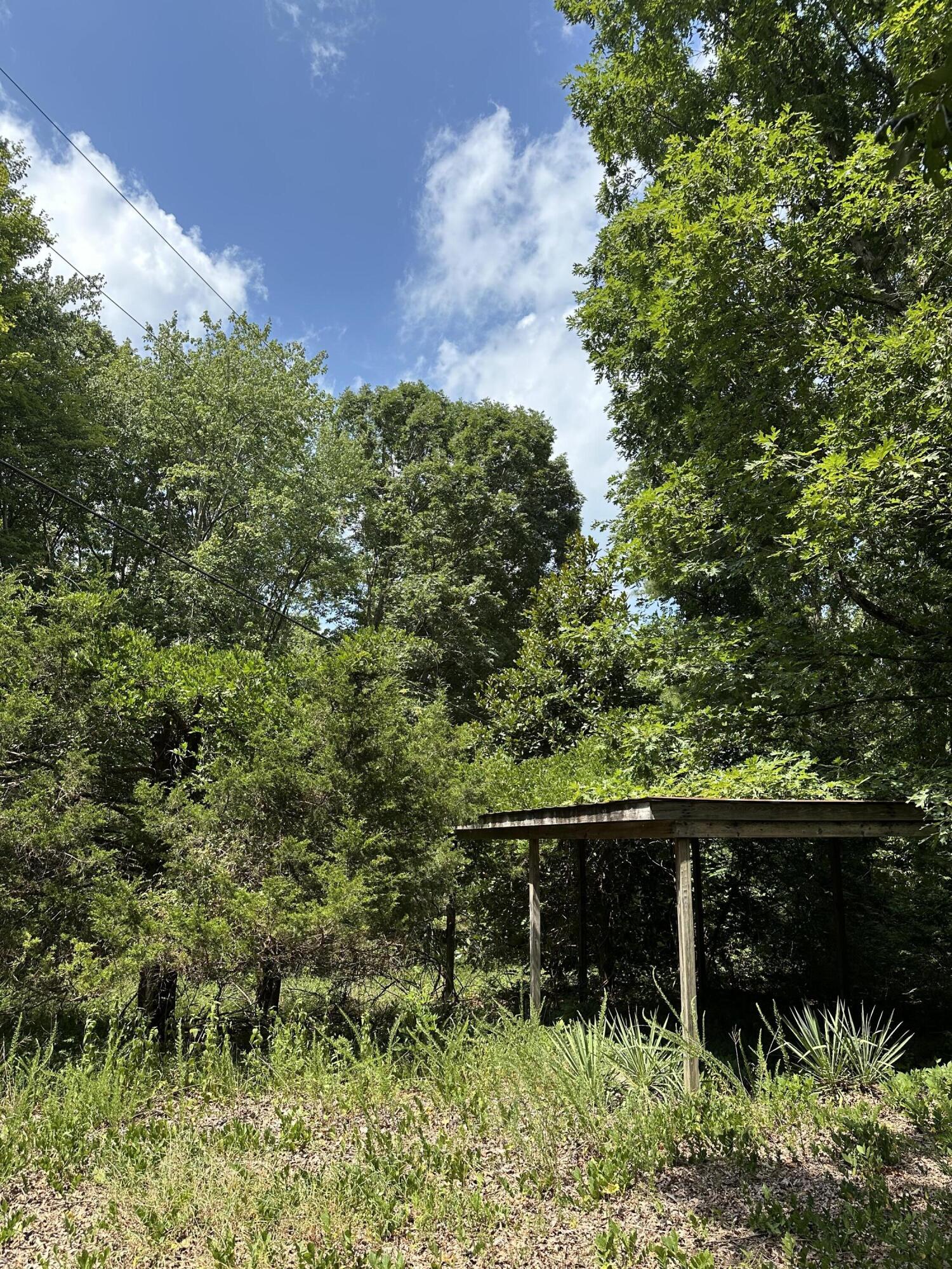 1 Flat Branch Road Tracy City, TN 37387 - Photo 2 of 7 IMG_8826