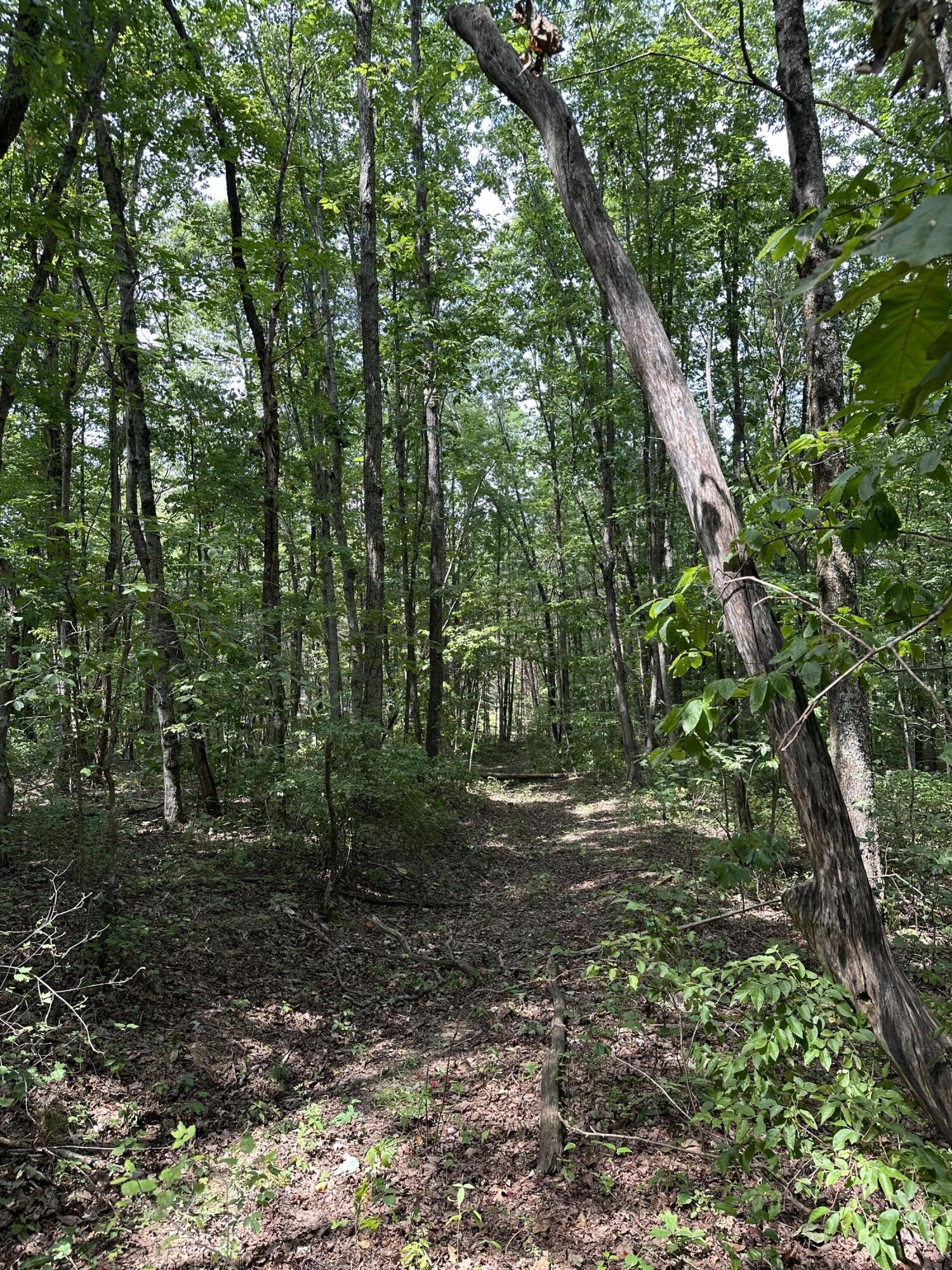 1 Flat Branch Road Tracy City, TN 37387 - Photo 4 of 7 IMG_8829