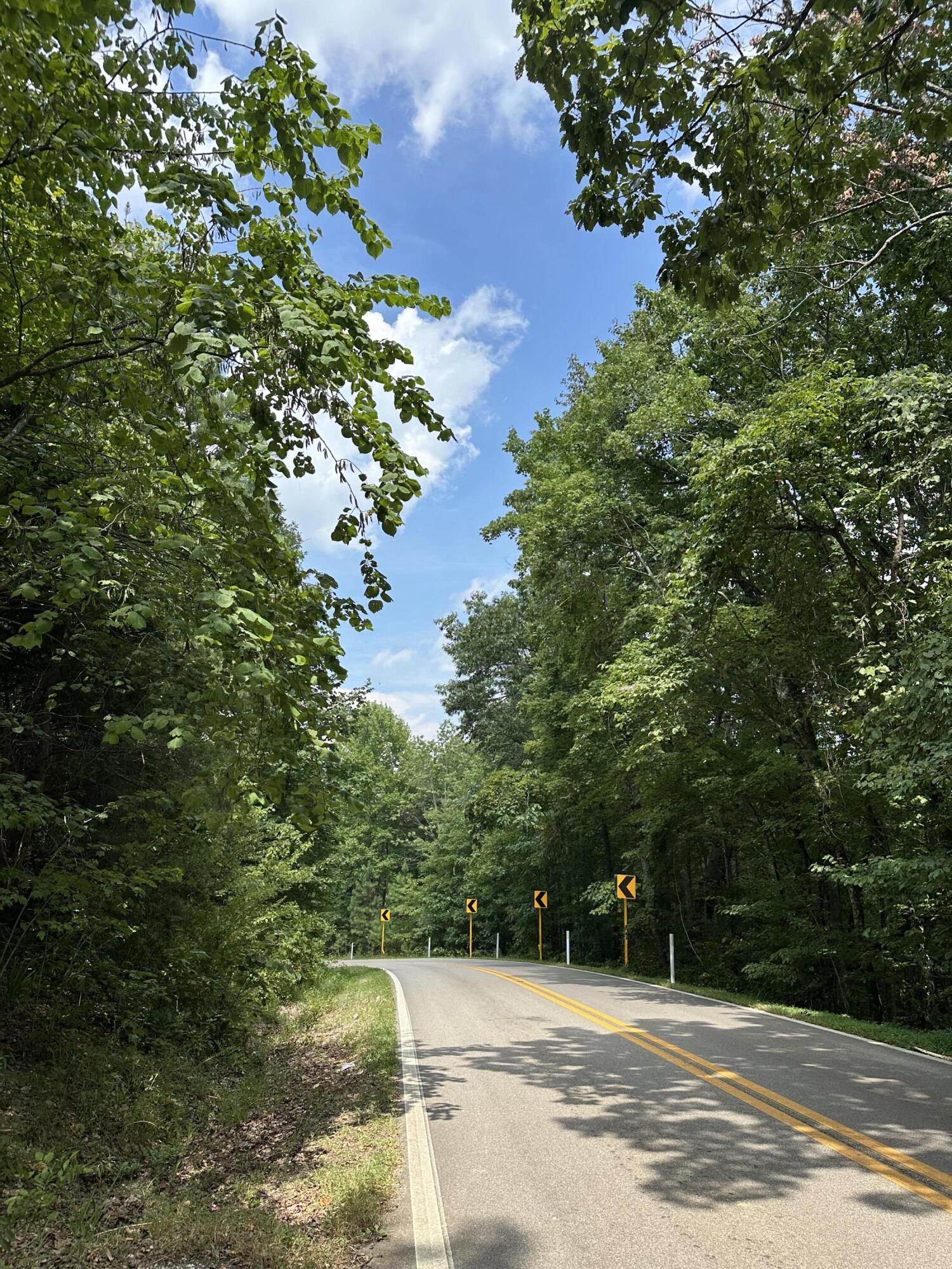 1 Flat Branch Road Tracy City, TN 37387 - Photo 6 of 7 IMG_8831