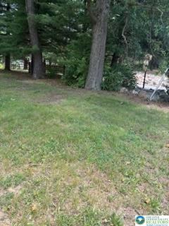 5747 Kernsville Road Orefield, PA 18069 - Photo 41 of 56 a view of a yard with a tree