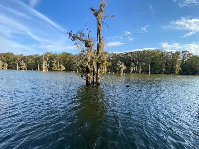 a view of a road with a yard
