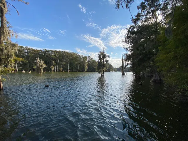 a view of outdoor space with green field and trees